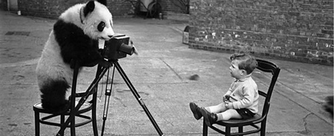 Ημέρα Φωτογράφισης!